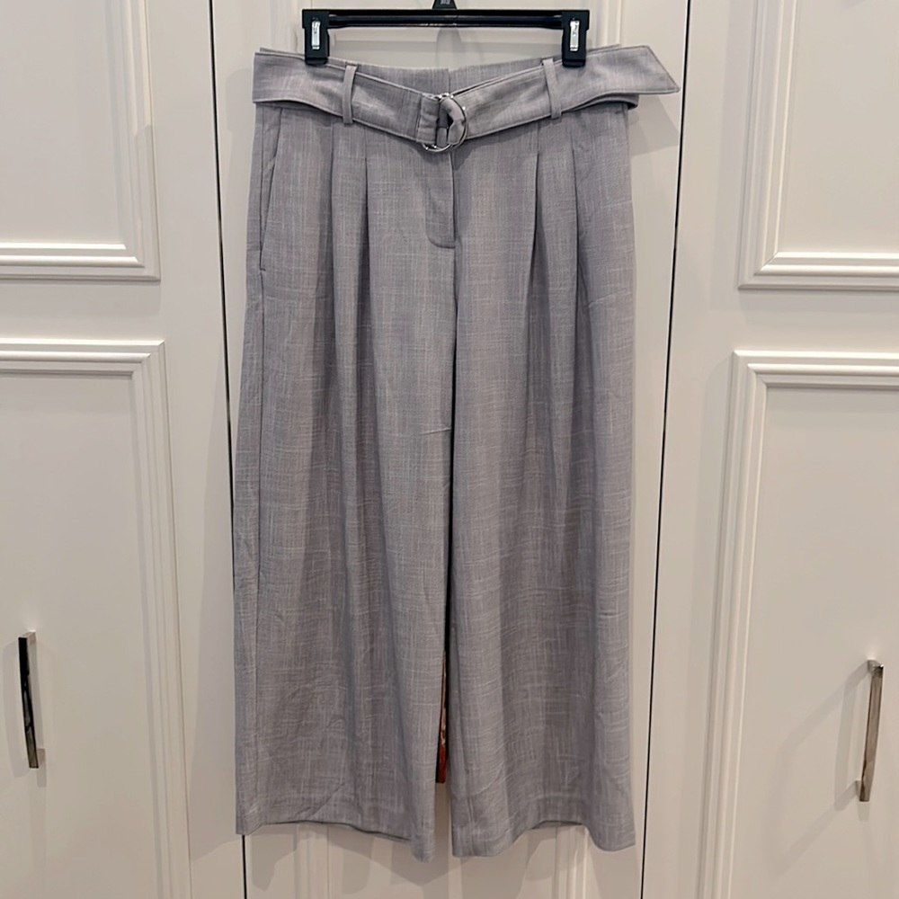Ann Taylor Wide Leg Dress Pants